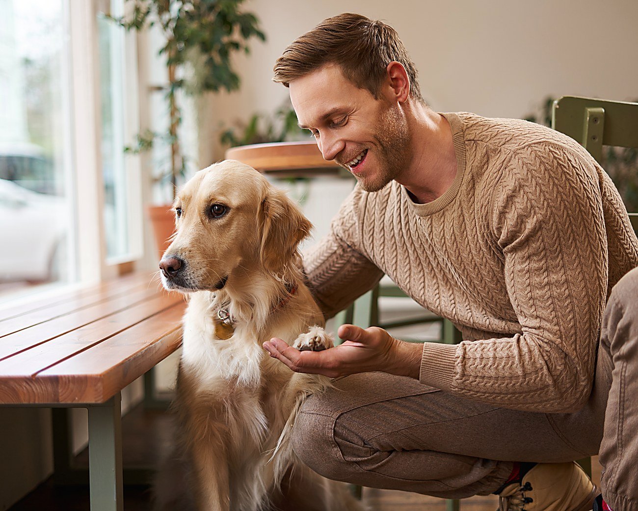 A trusted moment — a Golden Retriever giving a paw to its handler